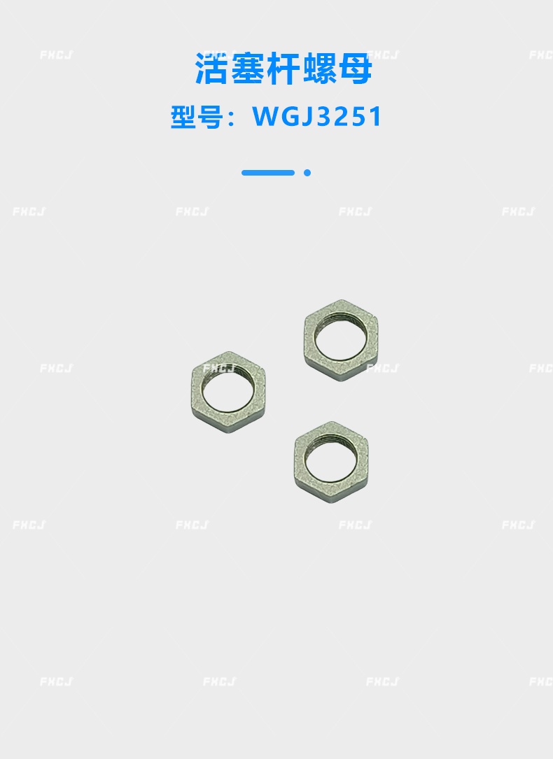 活塞桿螺母(圖1)